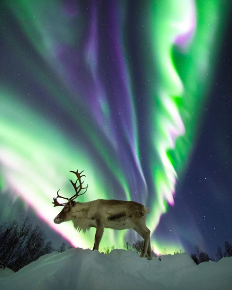 Автор: Астрофотограф Эдриан Модюи из норвежского города Тромсе