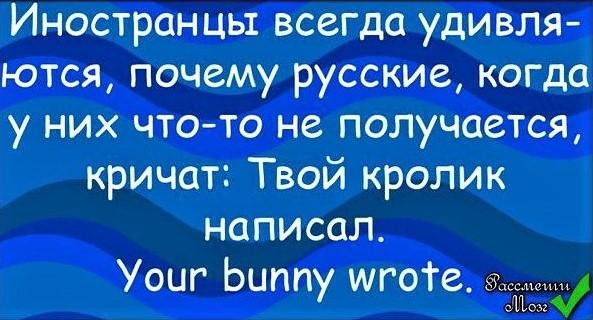 Твой кролик написал!